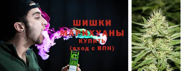 Альфа ПВП Новозыбков