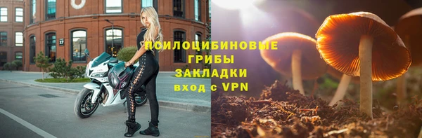 Альфа ПВП Новозыбков