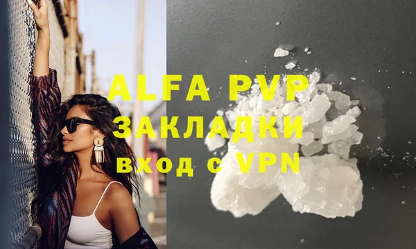Альфа ПВП Новозыбков