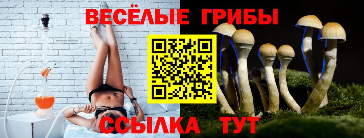 Галлюциногенные грибы ЛСД Заинск